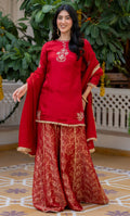 CARNATION RED HANDWORK SUIT SET