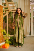 ILARIA MUSLIN FARSI SALWAR SET
