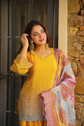 NAFEES OMBRE FARSHI SALWAR SET